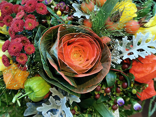 Floristik/Herbst5