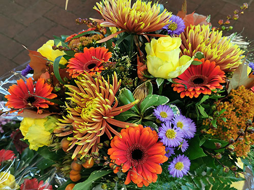 Floristik/Herbst4
